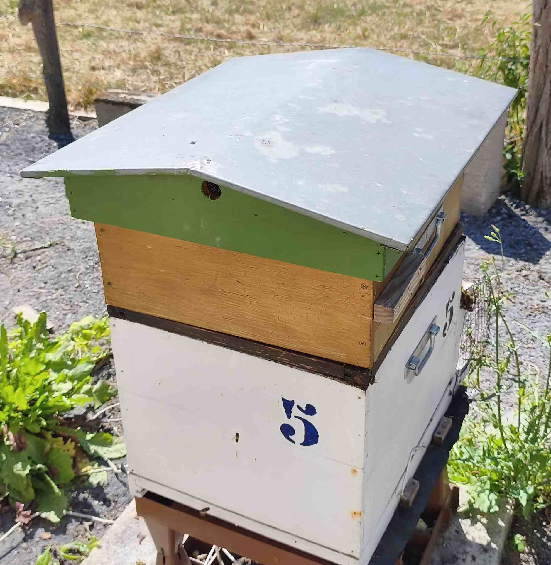 5