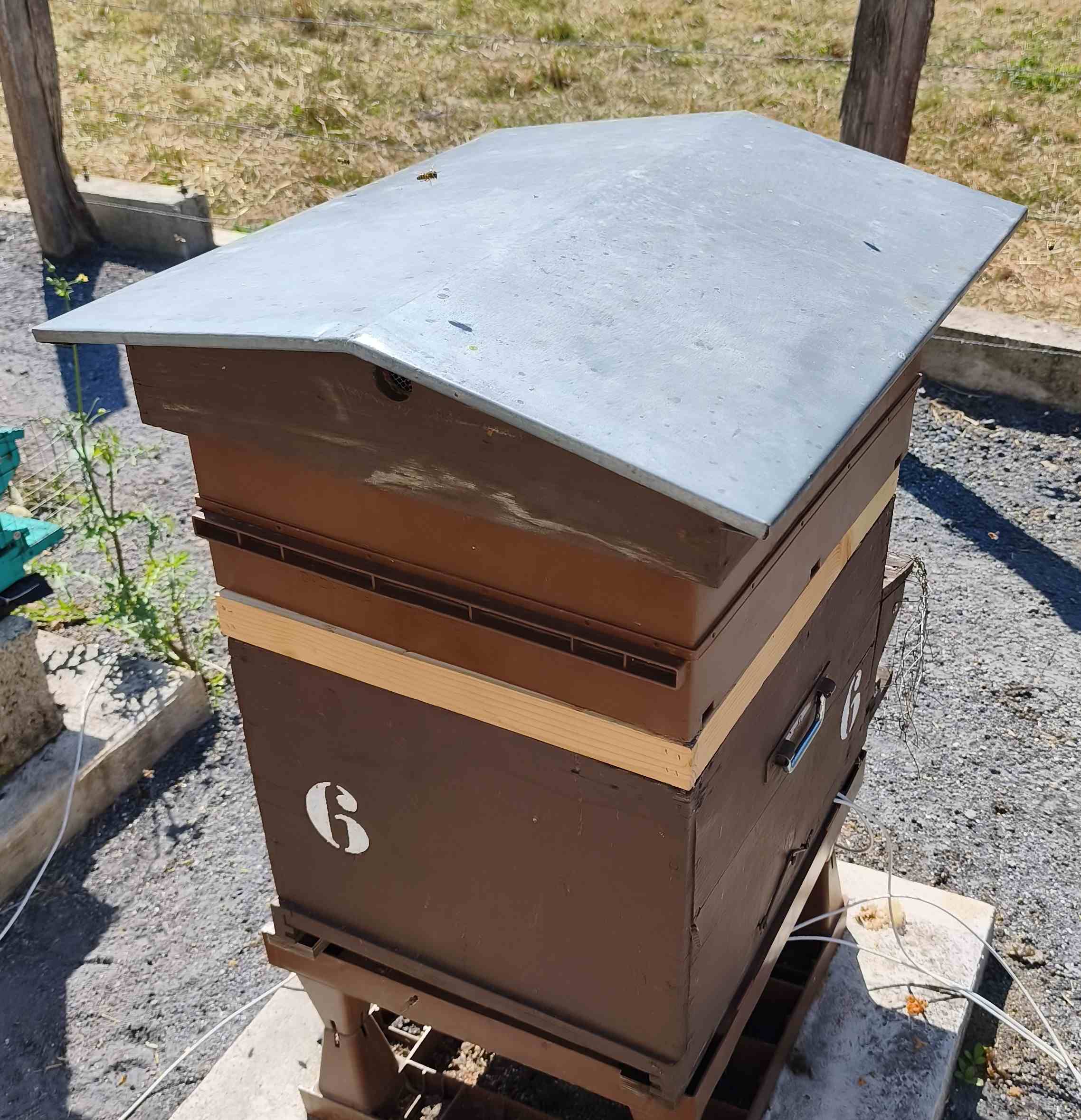 6