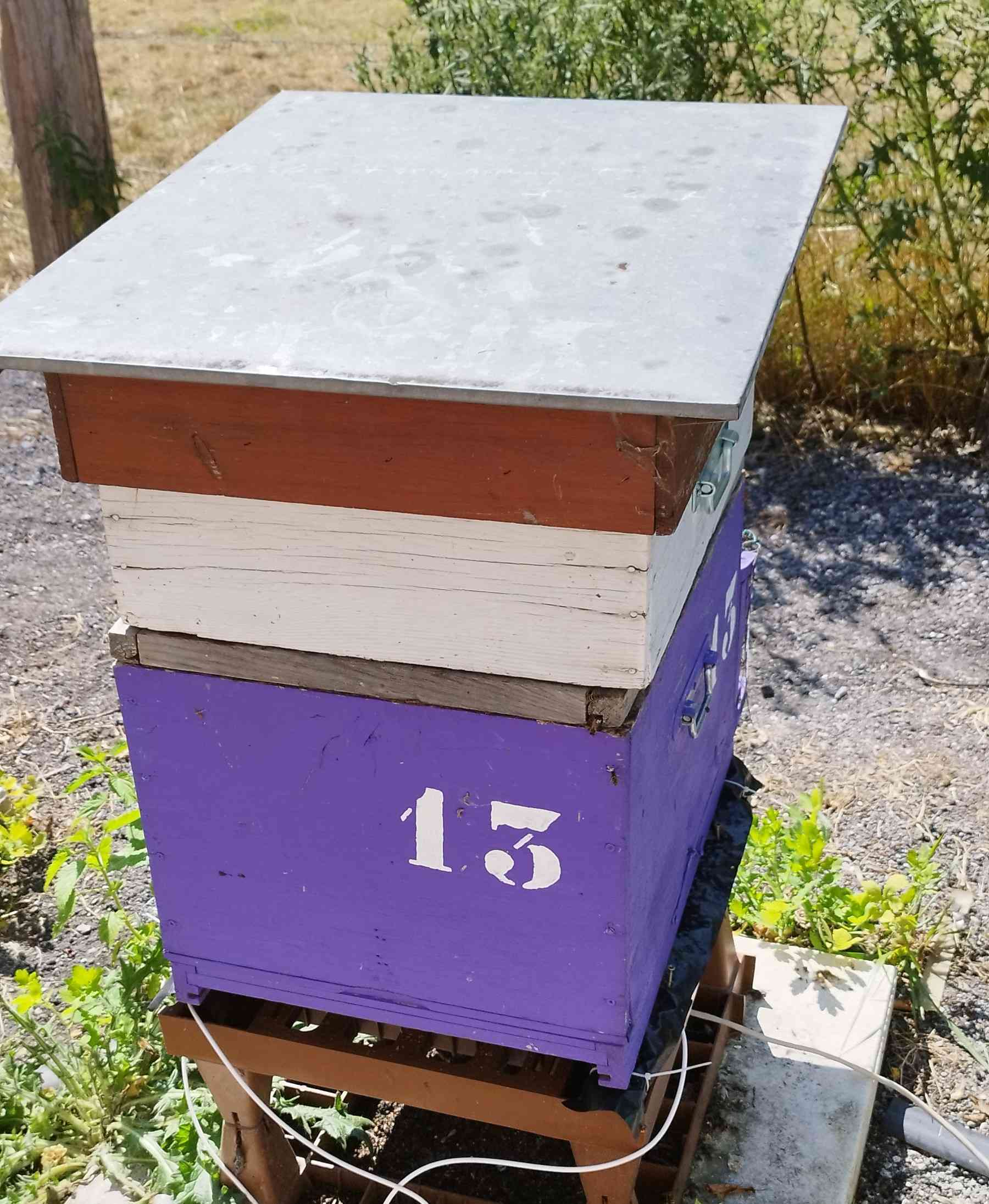 13