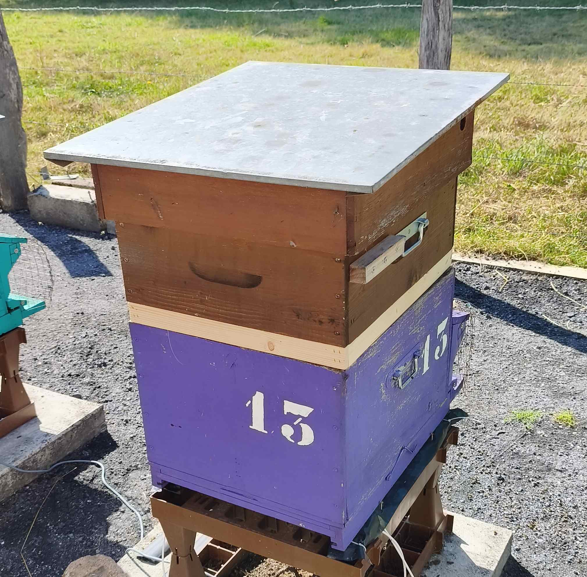 13