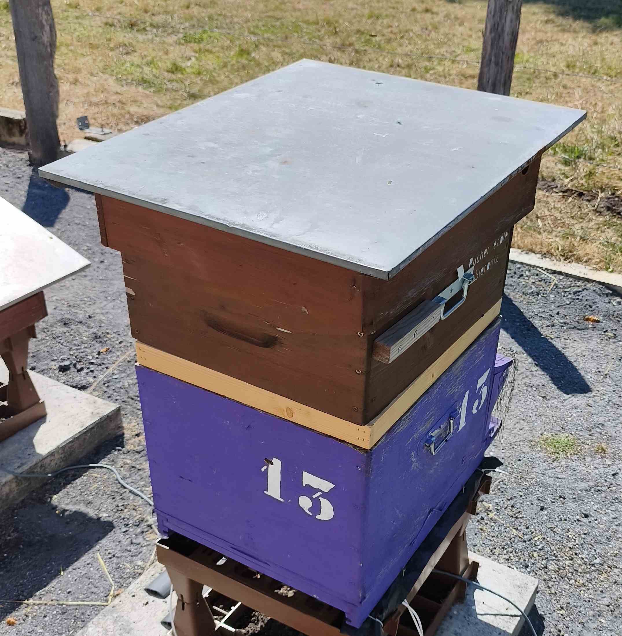 13