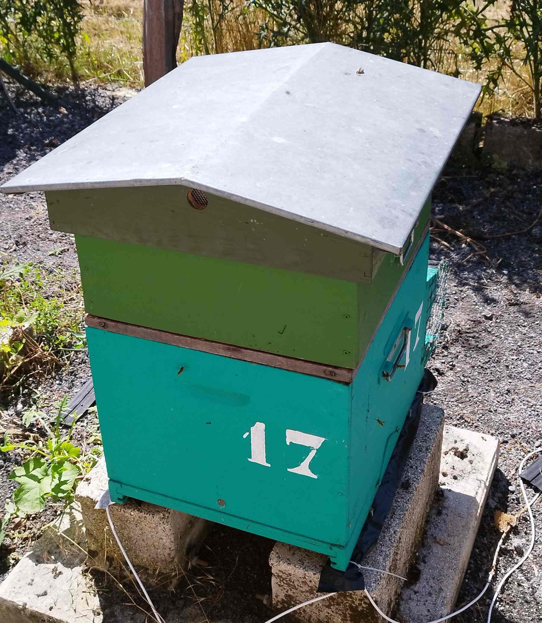 17