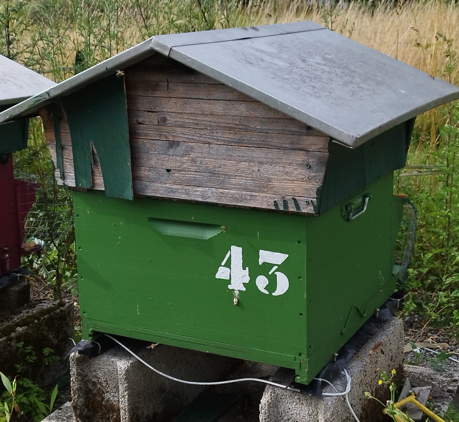 43