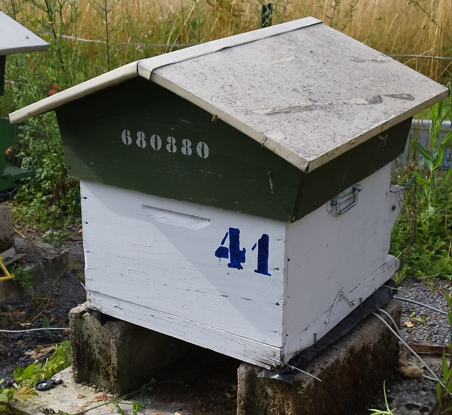 41