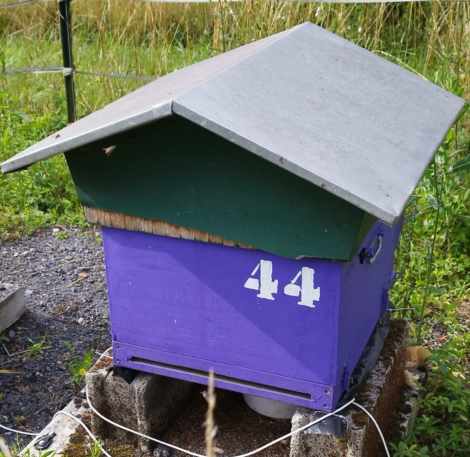 44