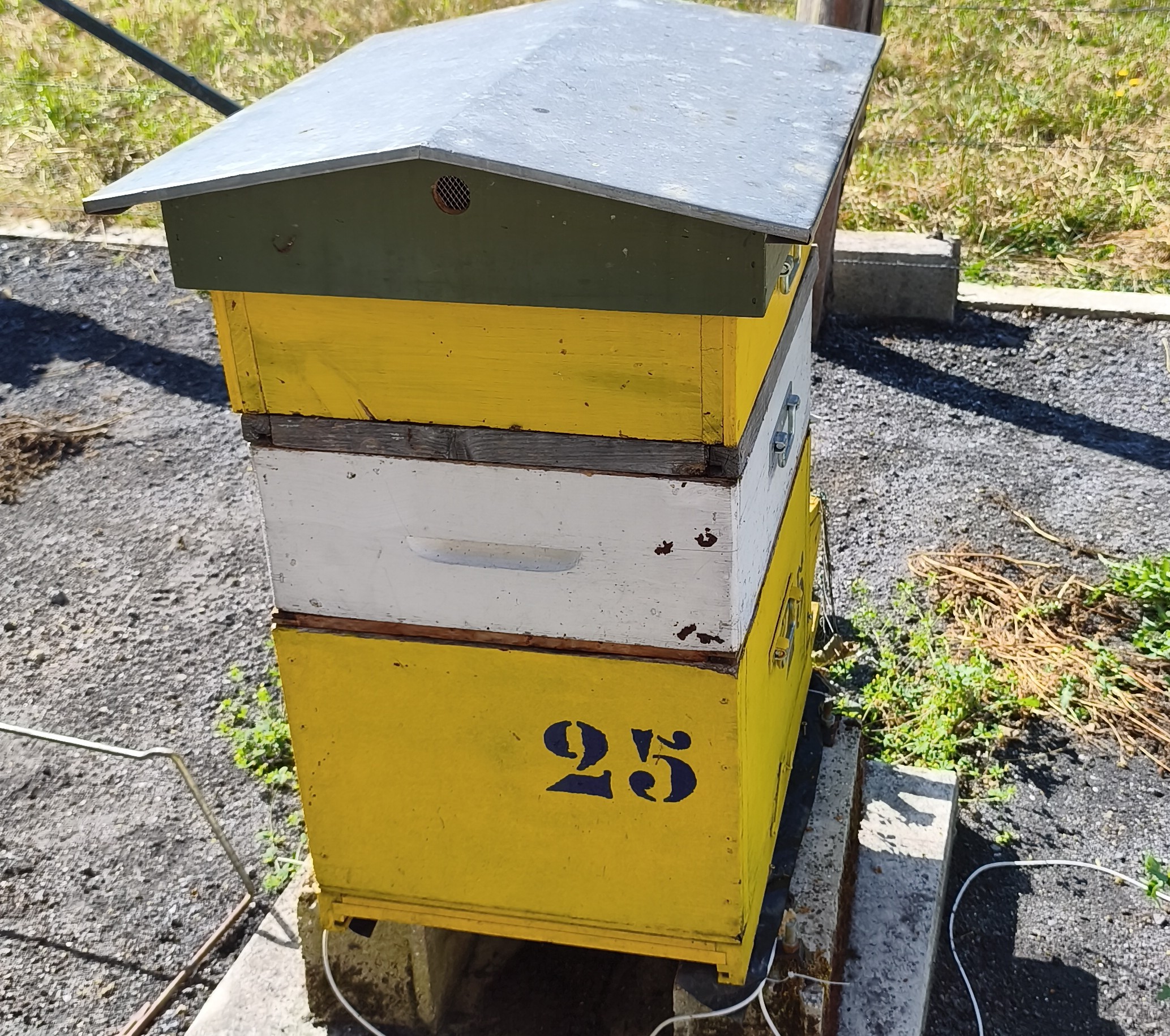 25