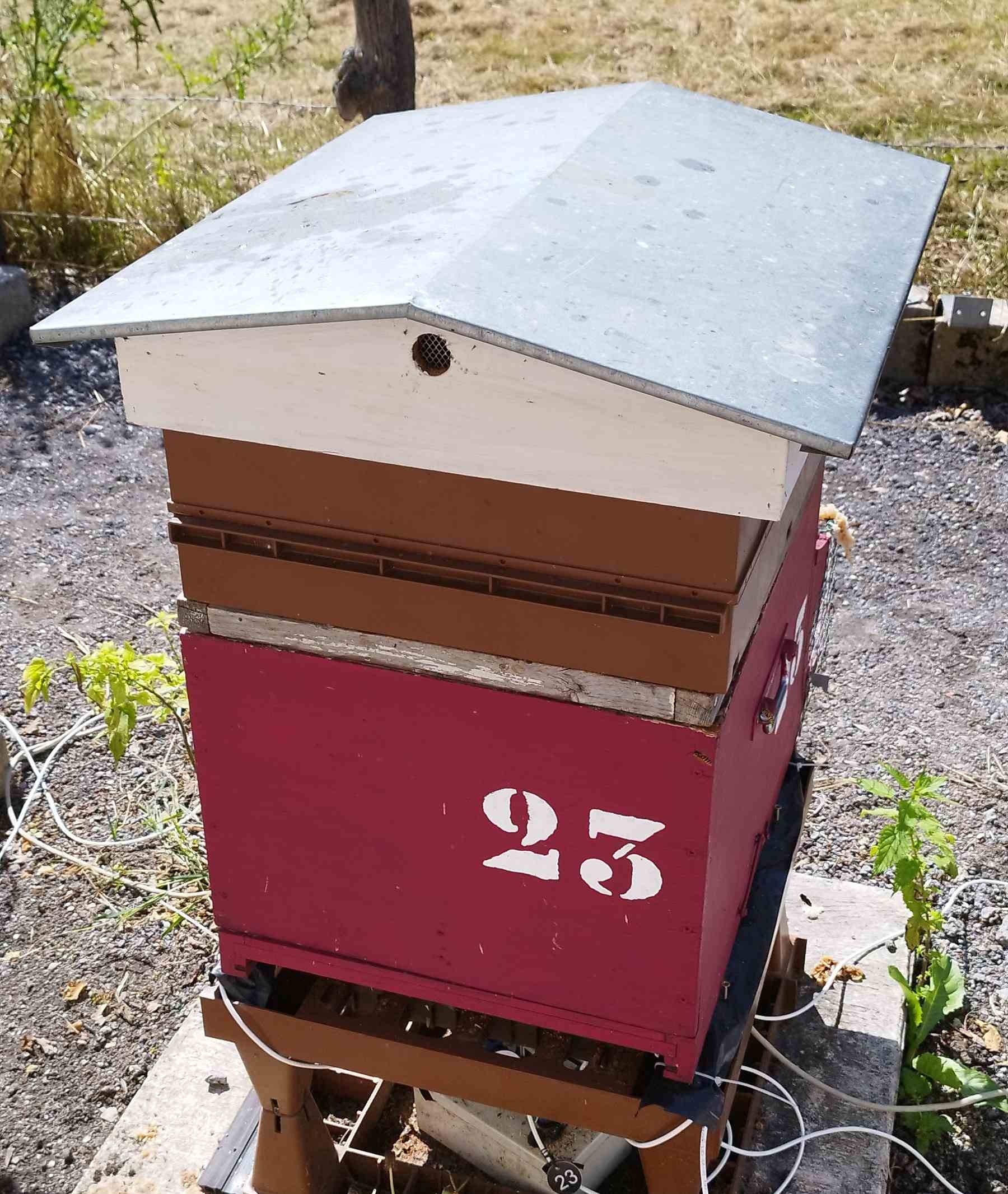 23