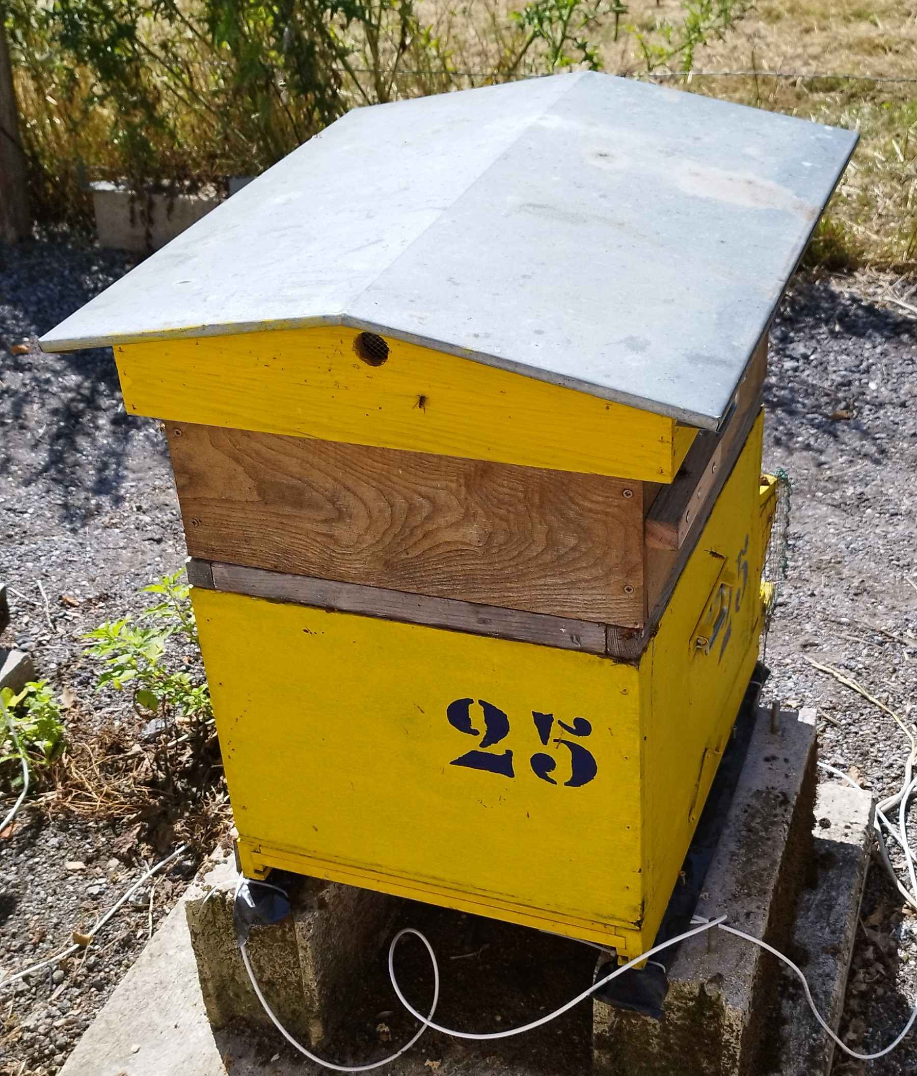 25