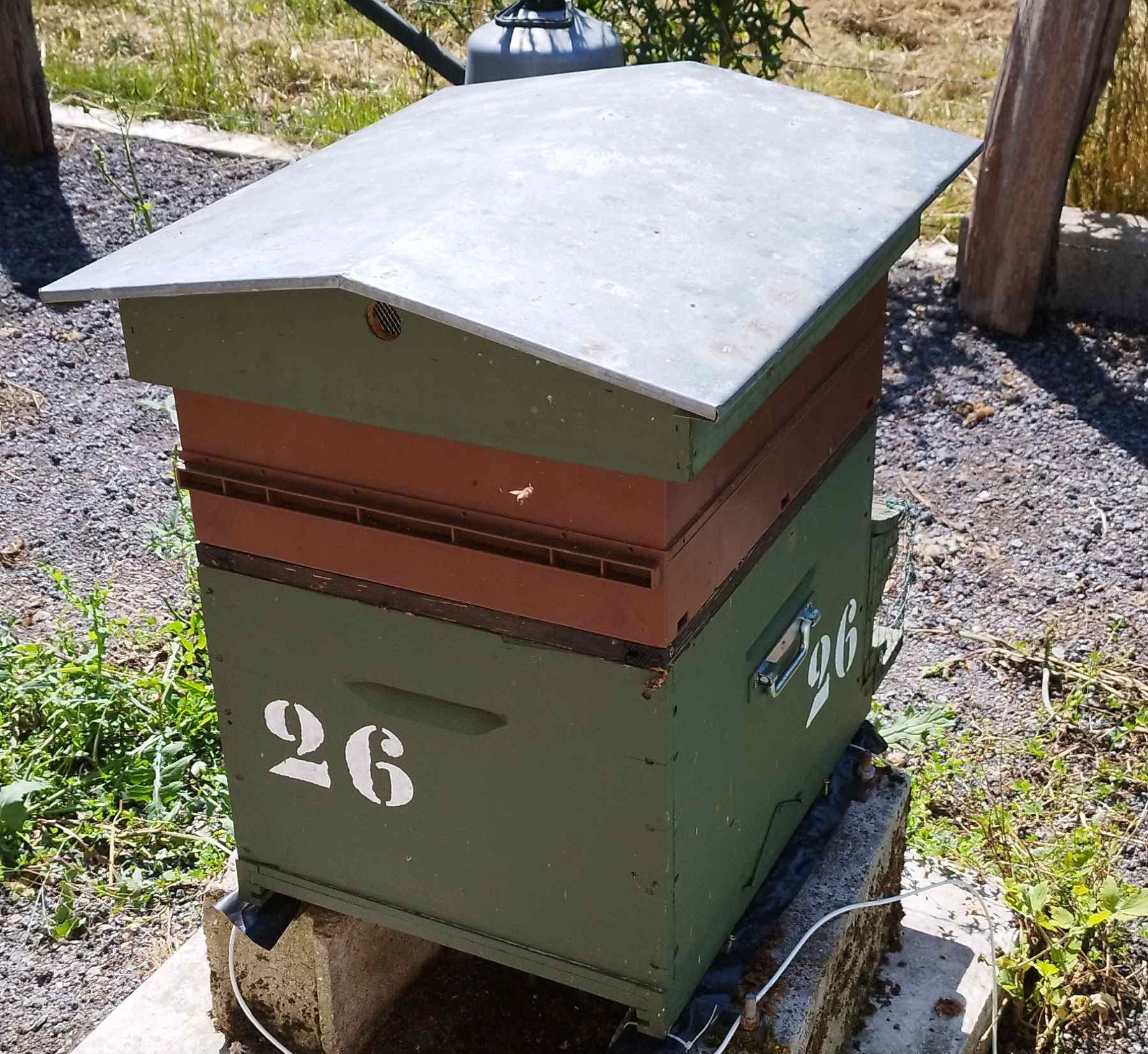 26
