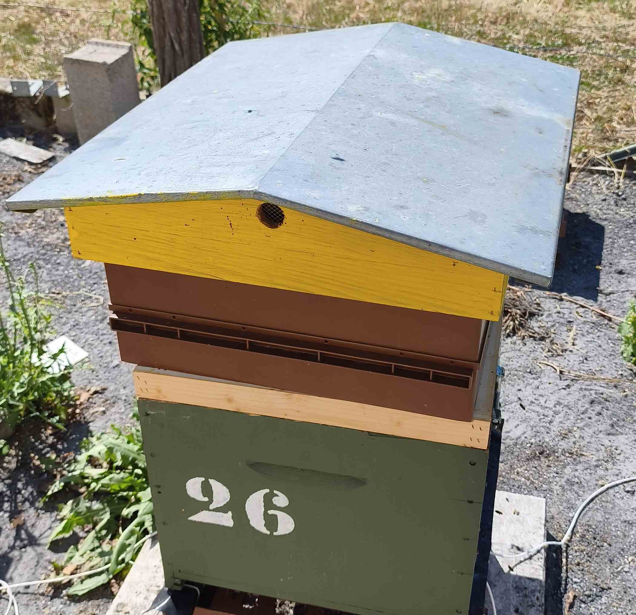 26