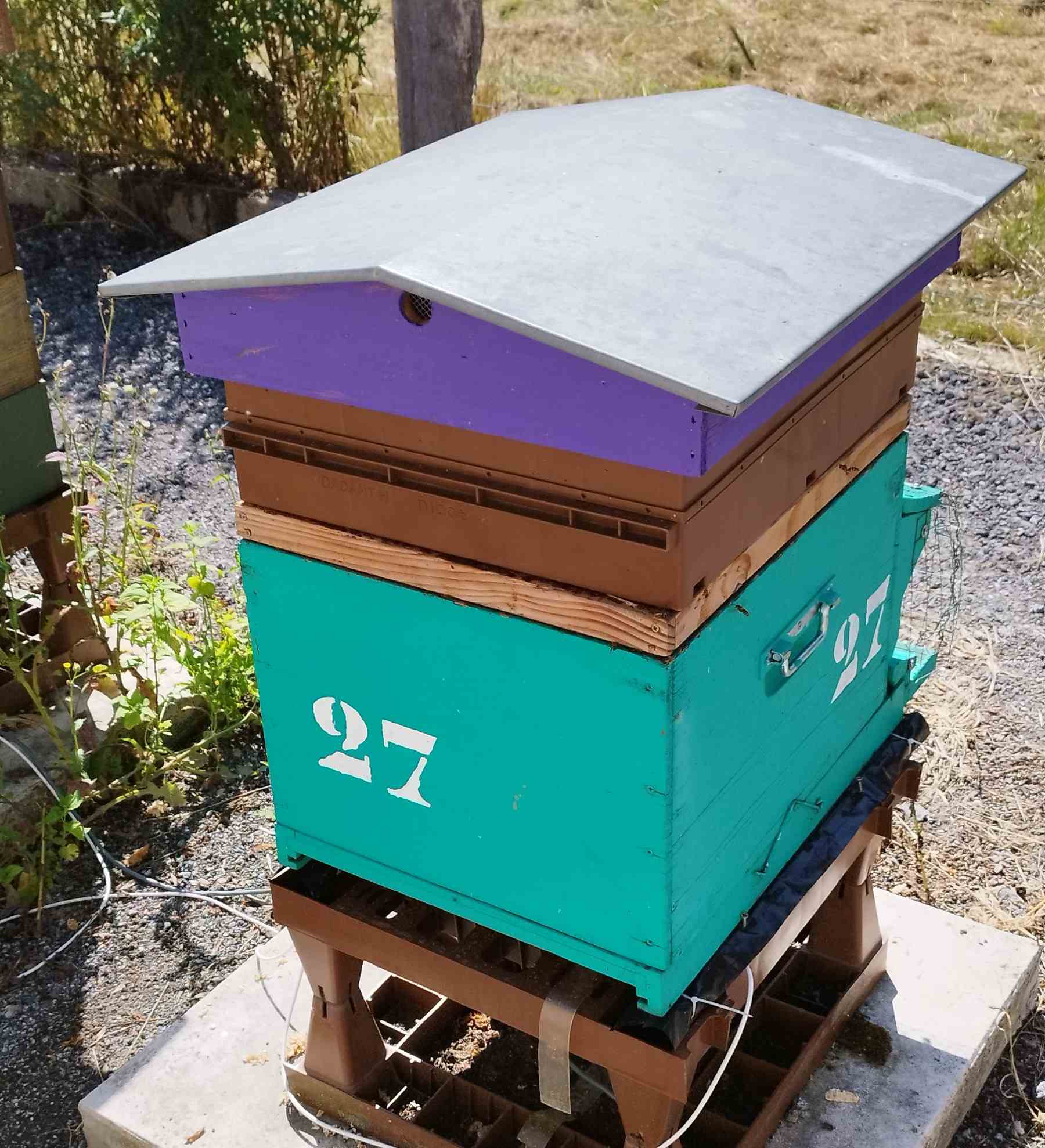 27