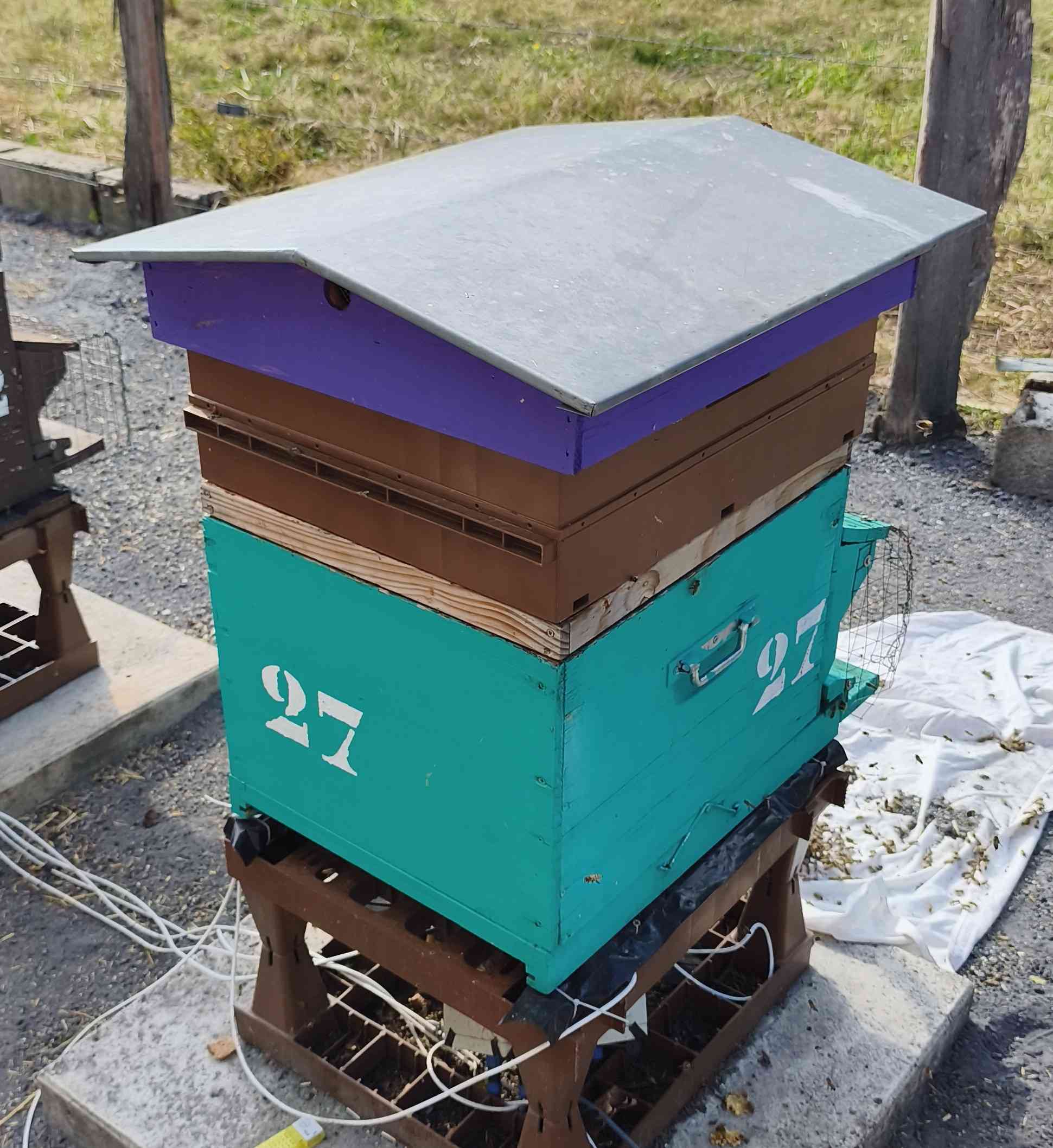 27