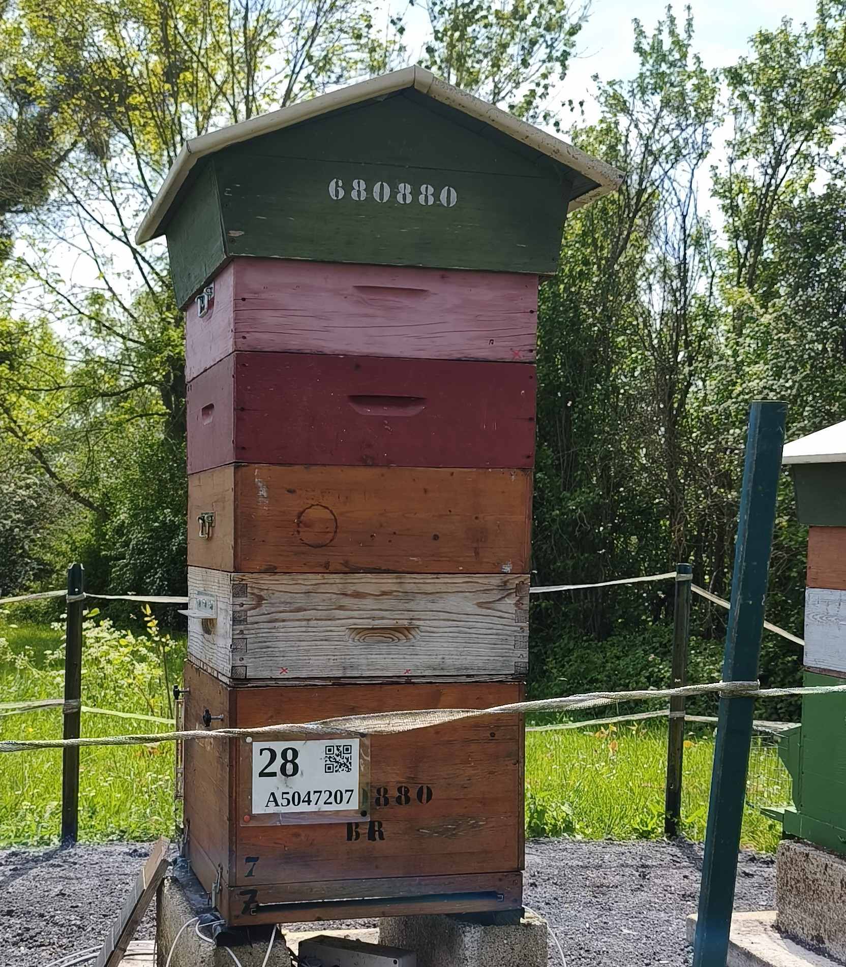 28