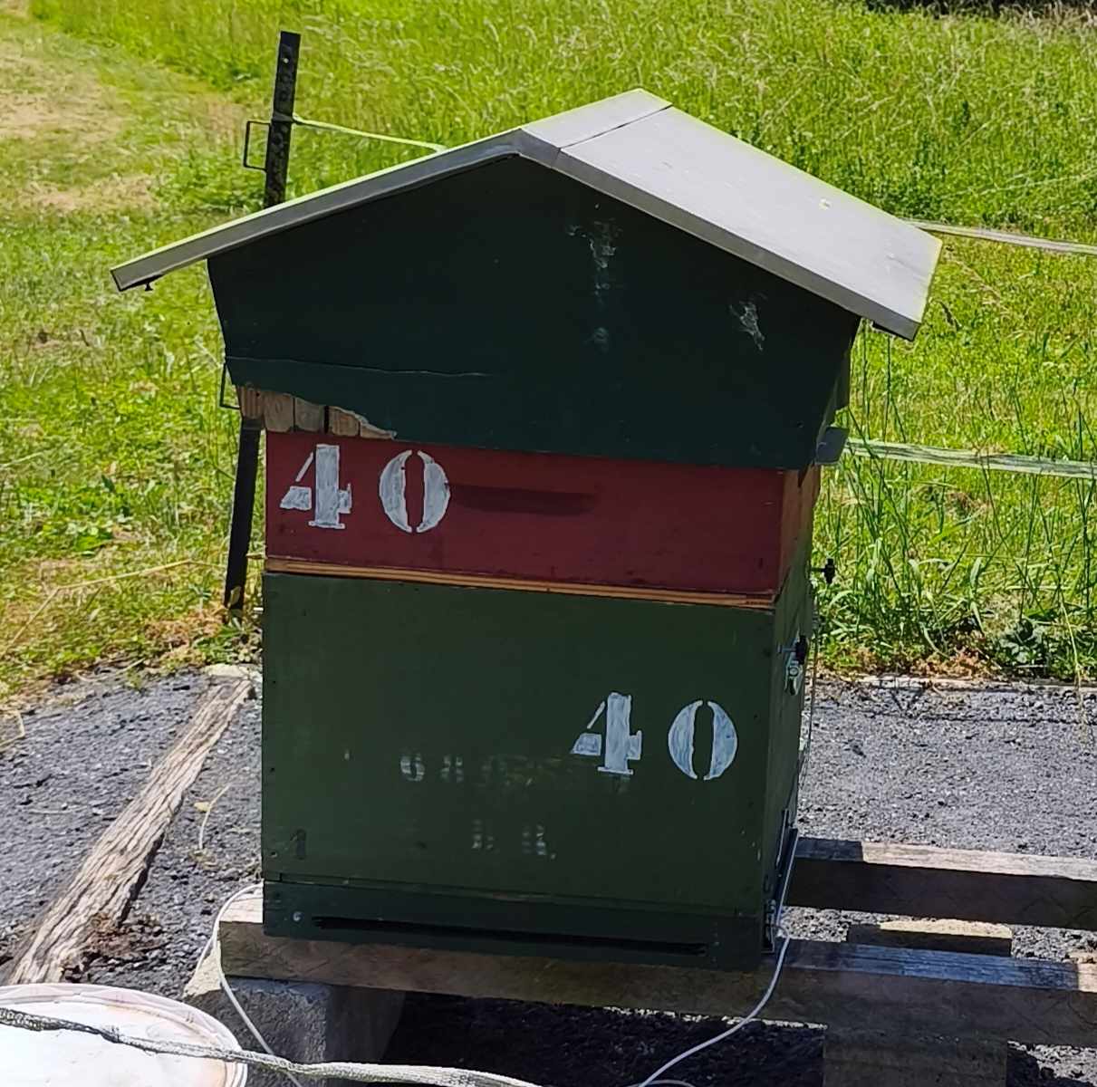 40
