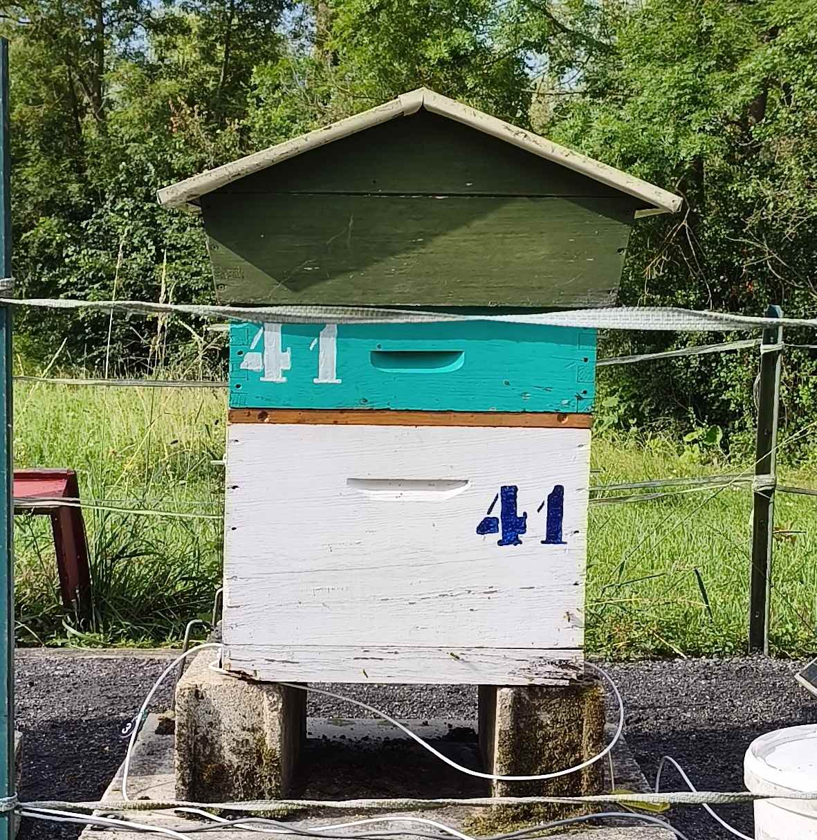 41