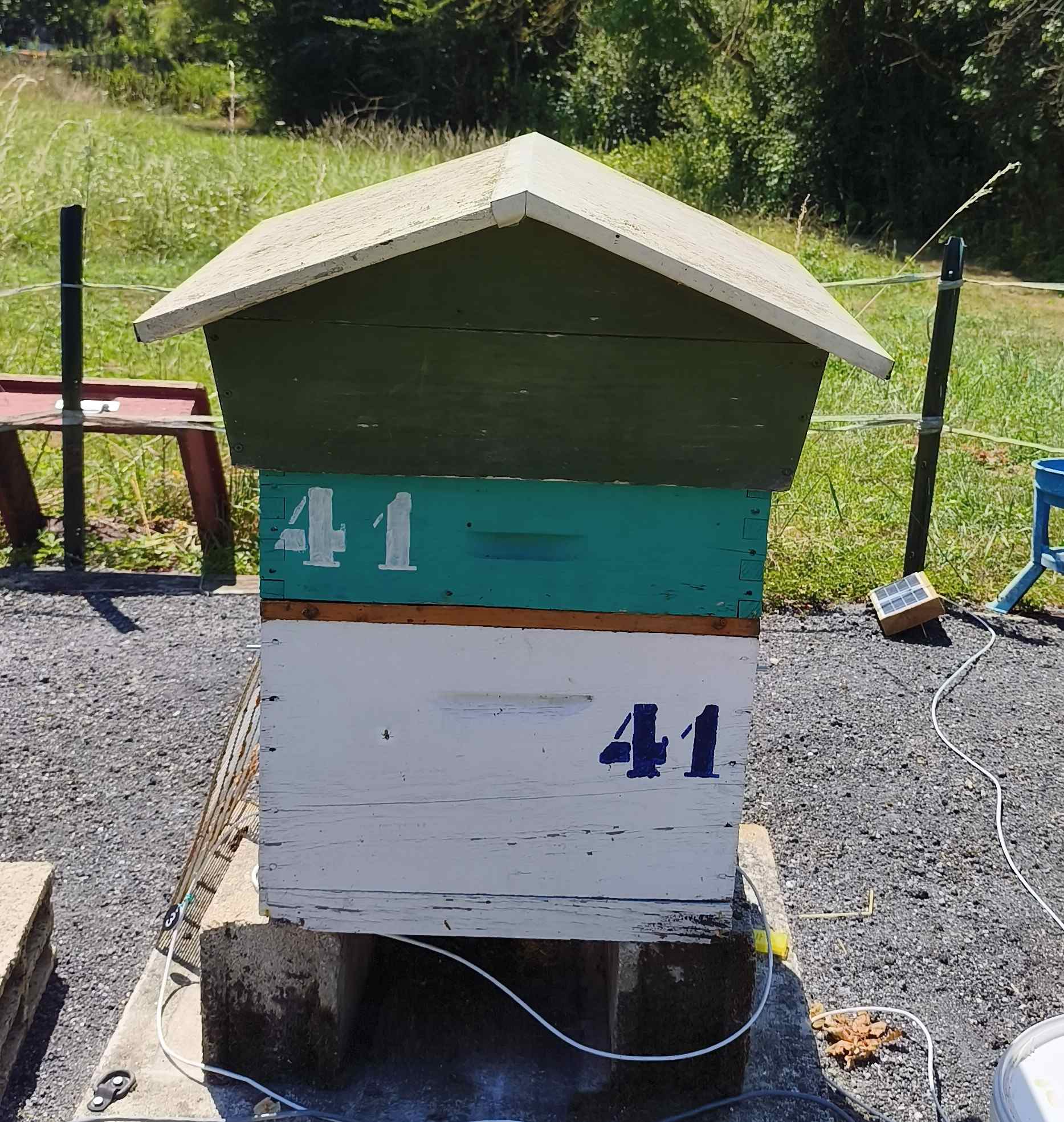 41