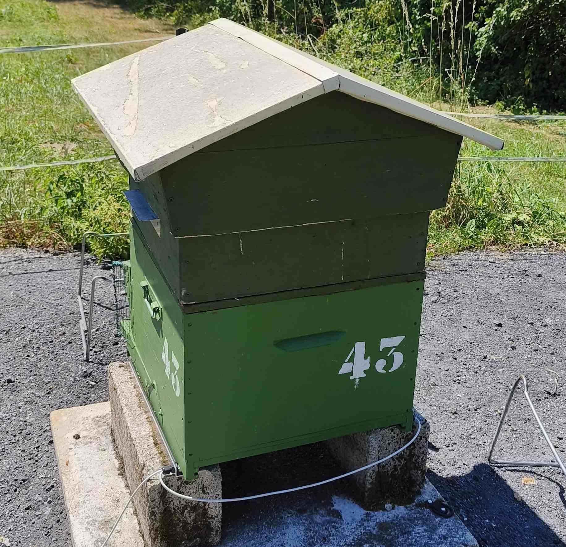 43