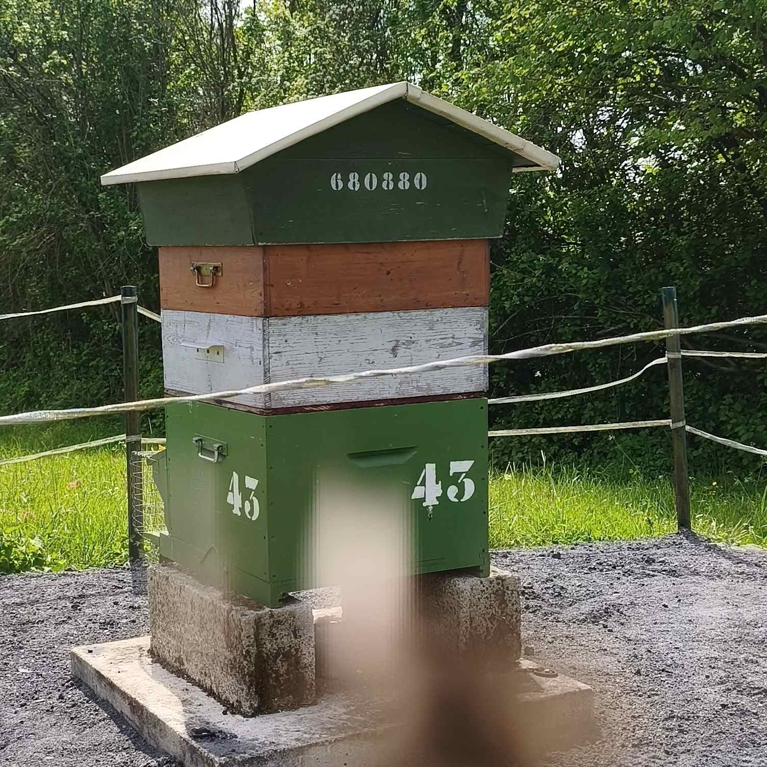 43