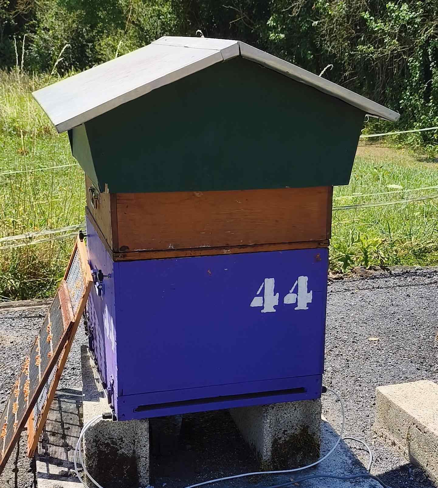 44