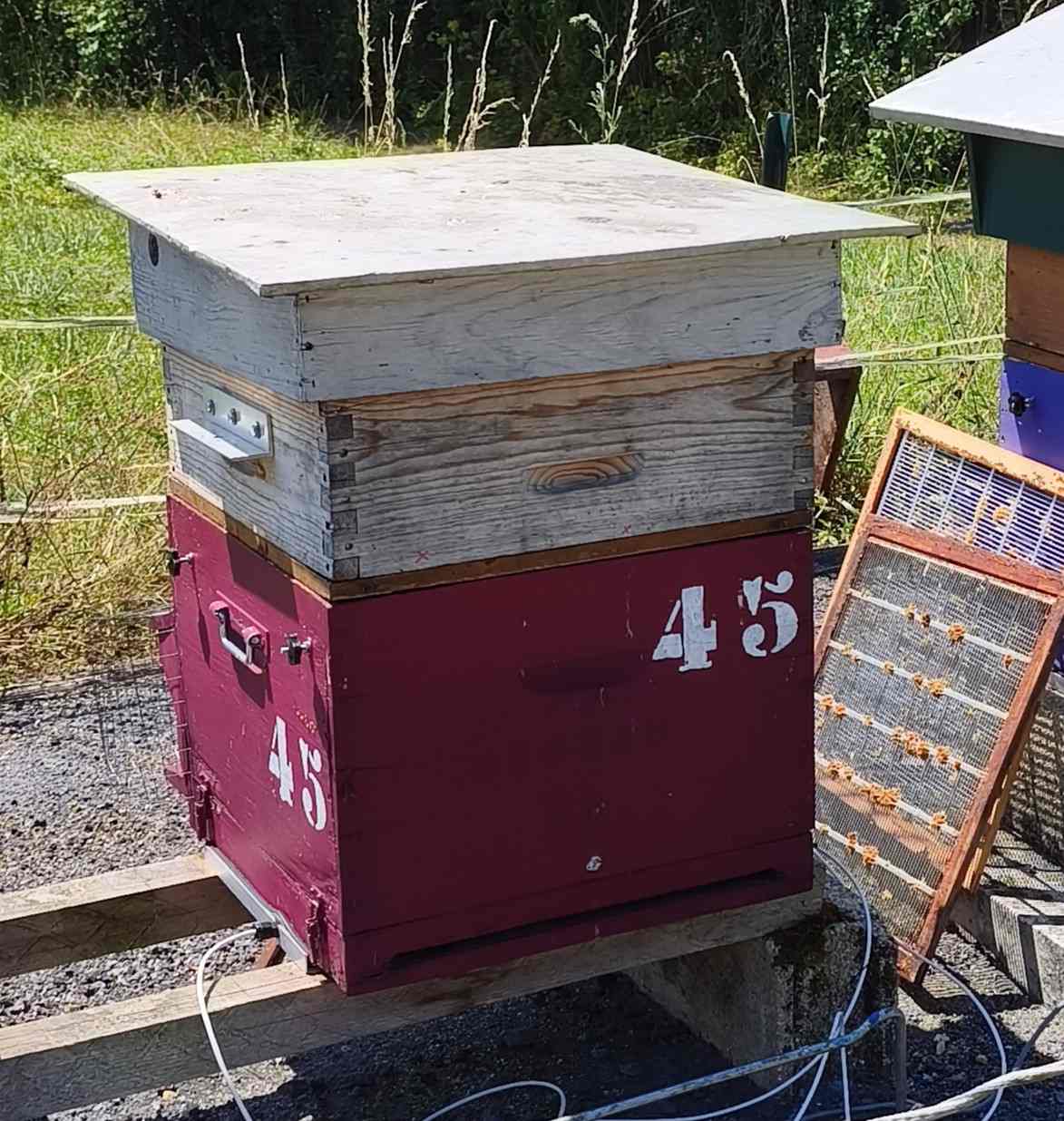 45