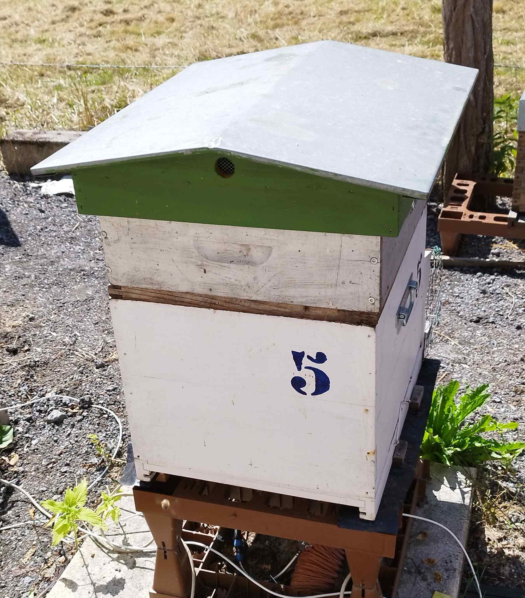 5