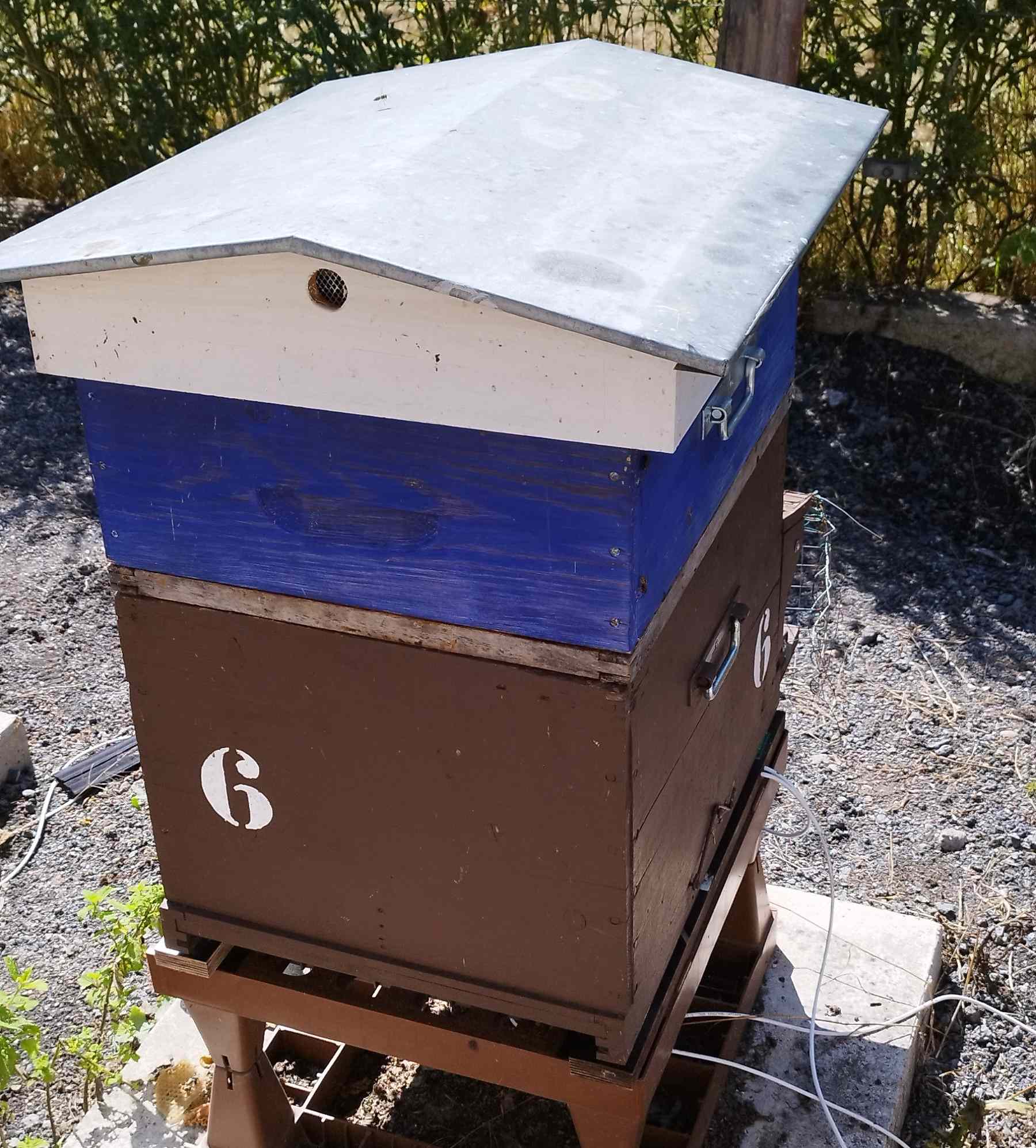 6